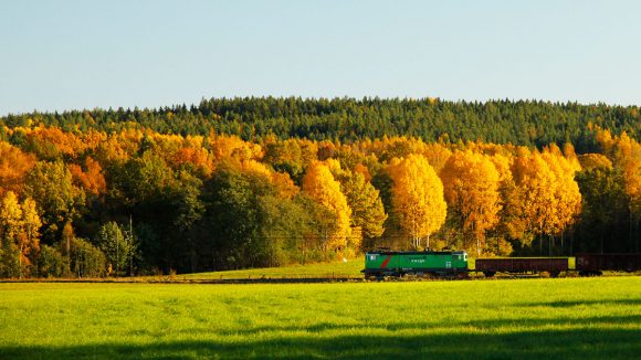 tåg framför höstskog